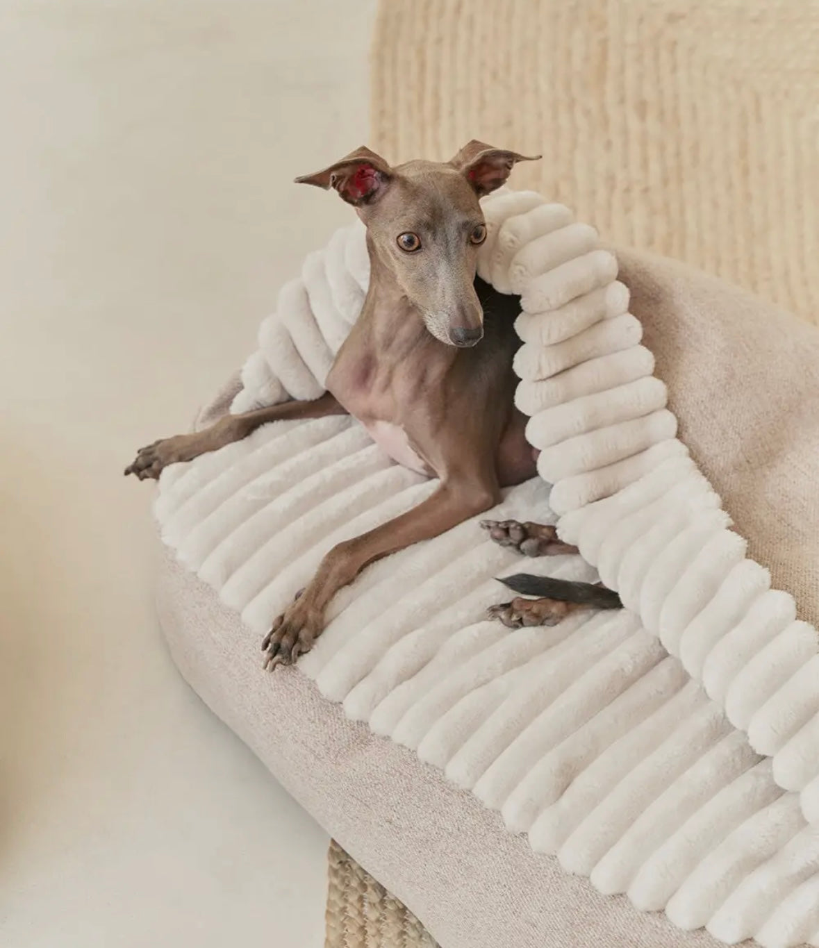 Beige Corduroy bed