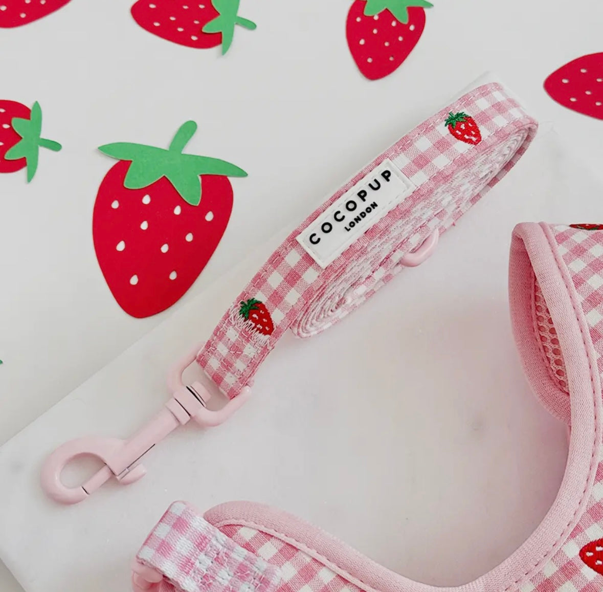 Cocopup London - Lijn Strawberry Picnic