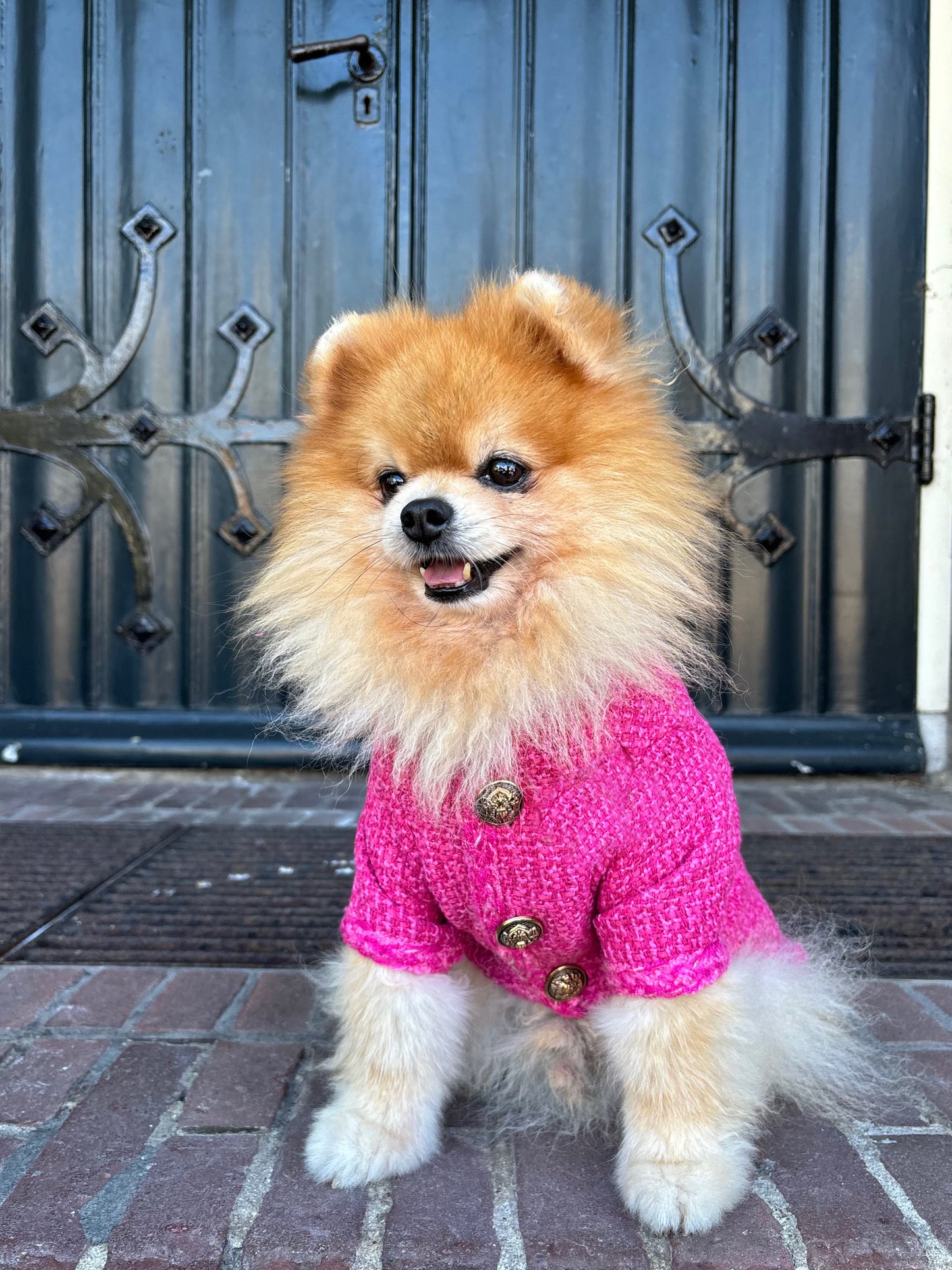 Roze jasje met knoopjes