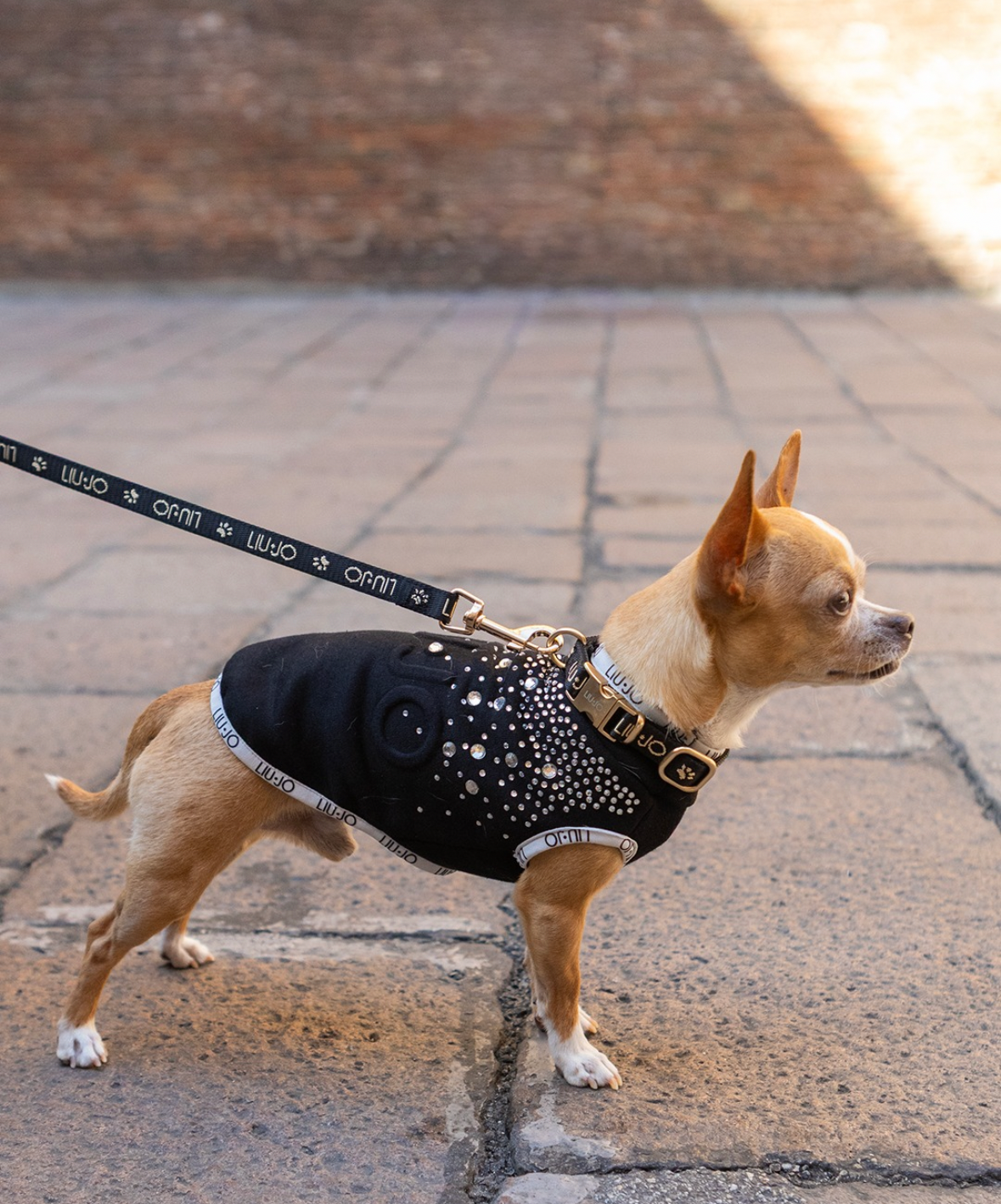 Liu Jo Pets - Lijn Jacquard Zwart